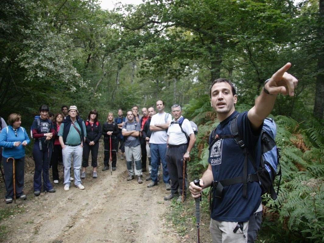 camino de la piedra